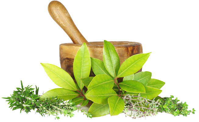 Get Rid from Pimples