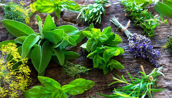 Best Beauty Products for Skin