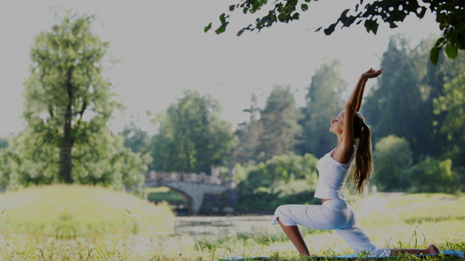 Nirmali-Blood-Purifier